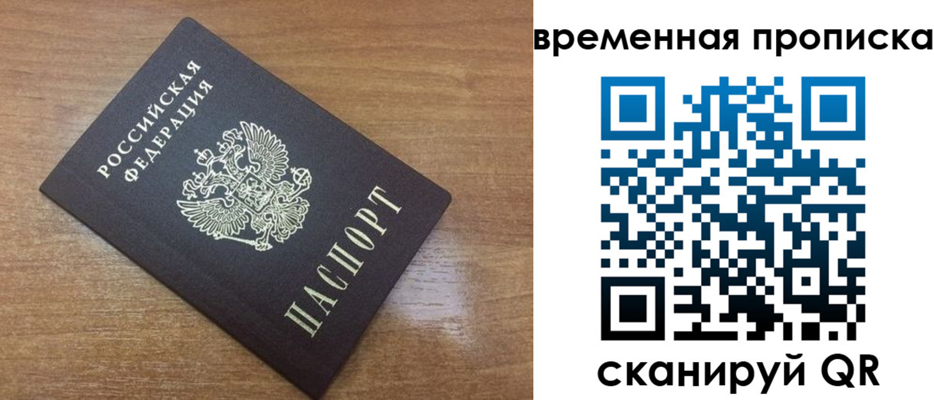 прописка в Светлогорске