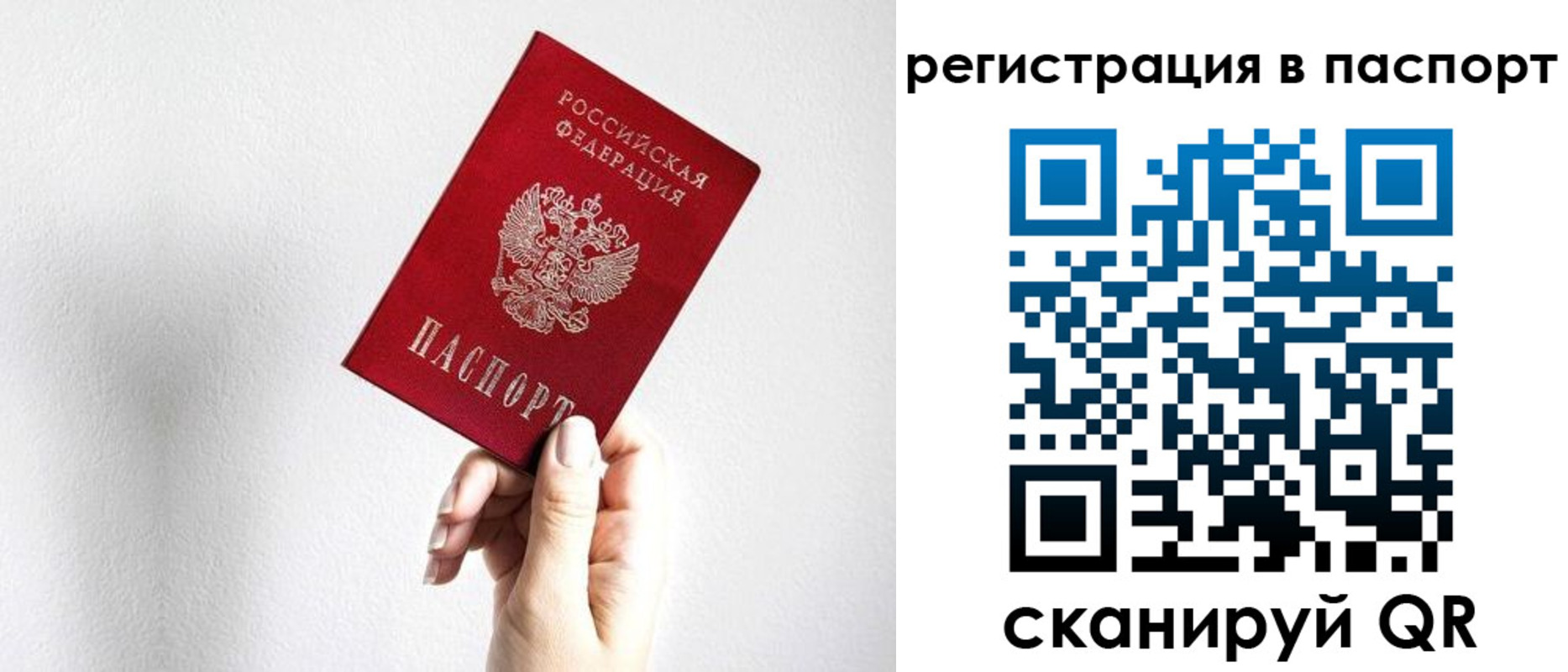 миграционный учет в Светлогорске