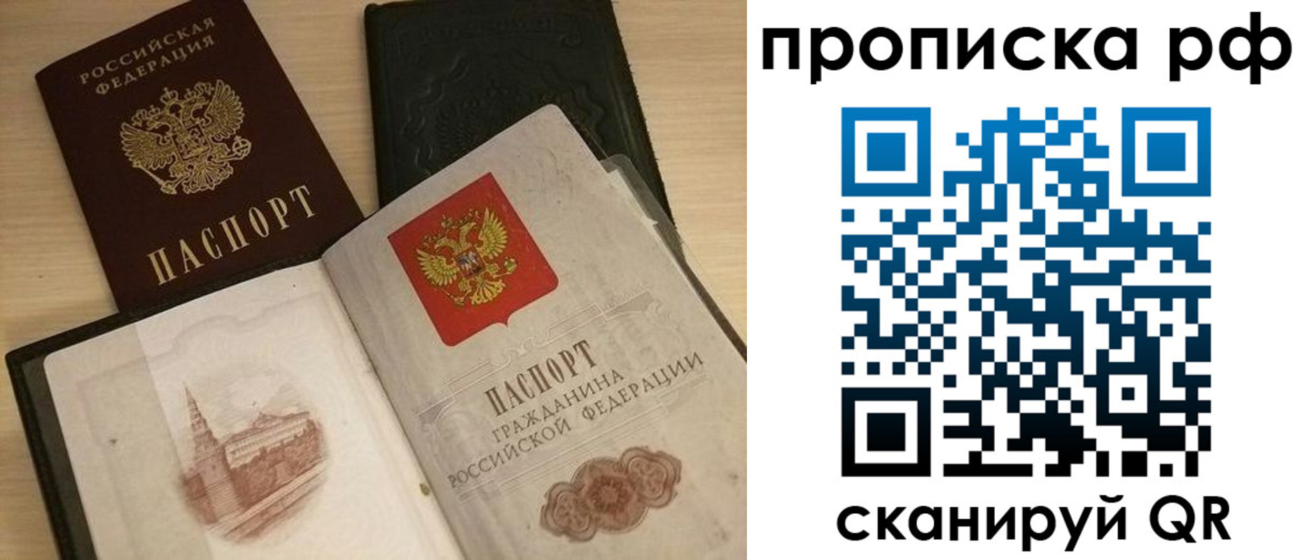 где прописаться в Светлогорске